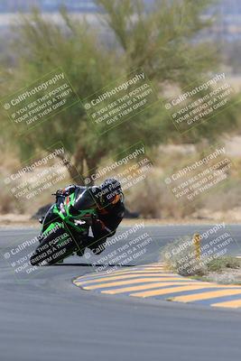 media/May-14-2023-SoCal Trackdays (Sun) [[024eb53b40]]/Turn 5 Tree of Life (1125am)/